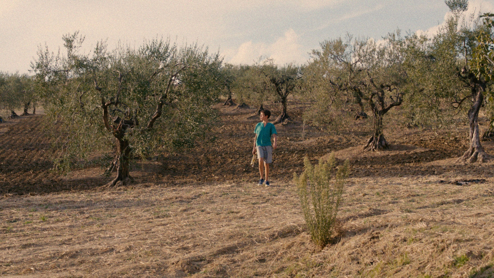 Gli ultimi a vederli vivere, The Last to See Them), Feature 80′, Cinematographer: Katharina Schelling, Director: Sara Summa, Production: German Film and Television Academy, 1:1,85 2K Arri Amira + Zeiss Ultra Prime Lenses, Berlinale Sektion Forum 2019, www.katharinaschelling.com